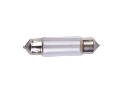 Festoon 12 Volt