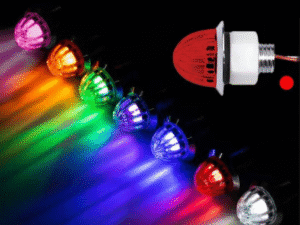 Group Nedking melonlights