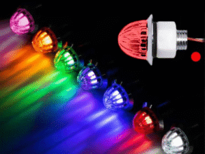 Group Nedking melonlights